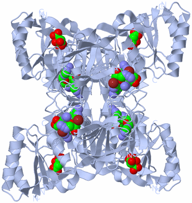 Image Biological Unit 1