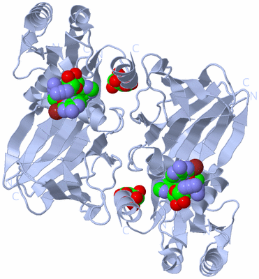 Image Biological Unit 2