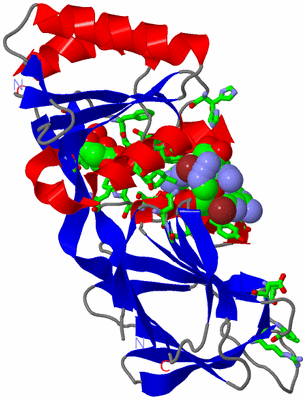 Image Asym. Unit - sites