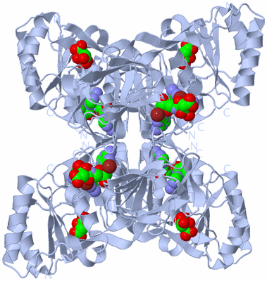 Image Biological Unit 1