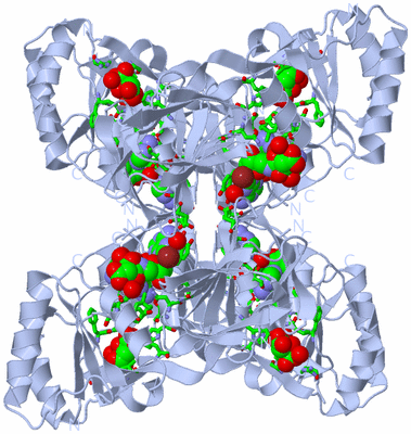 Image Biol. Unit 1 - sites