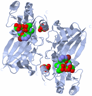 Image Biological Unit 2