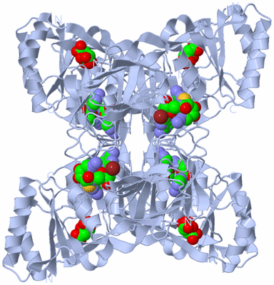 Image Biological Unit 1