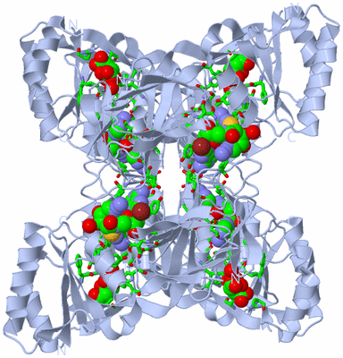 Image Biol. Unit 1 - sites