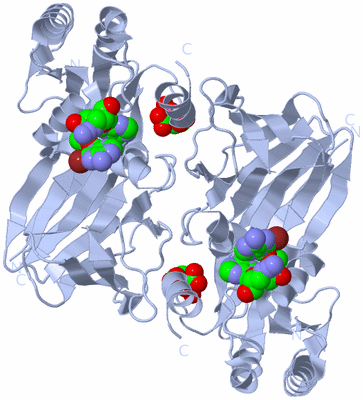 Image Biological Unit 2