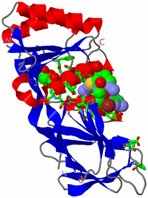 Image Asym. Unit - sites