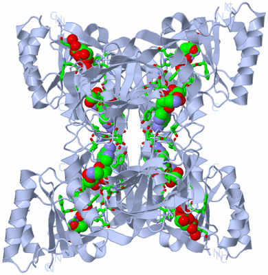 Image Biol. Unit 1 - sites