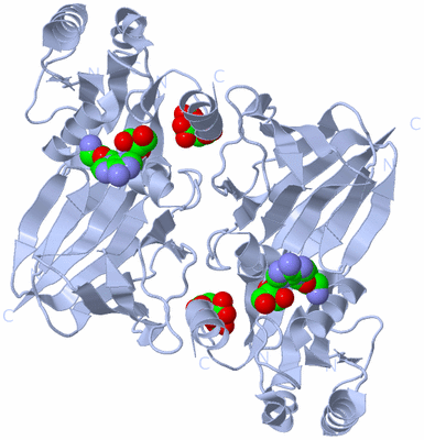 Image Biological Unit 2