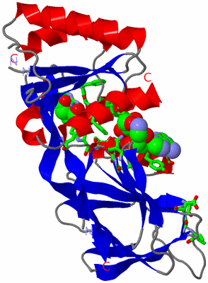 Image Asym. Unit - sites