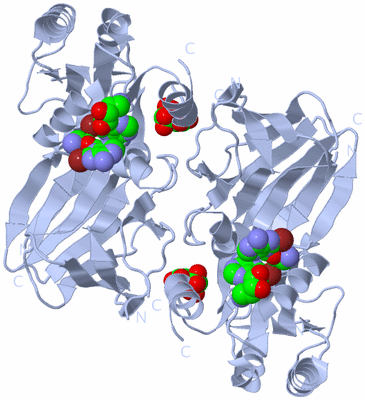 Image Biological Unit 1