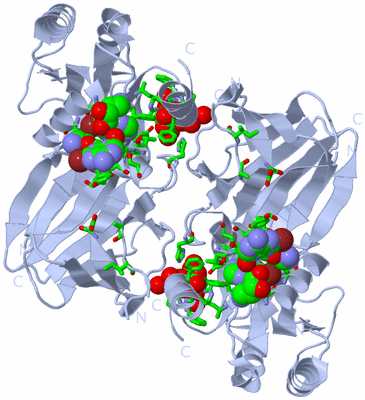 Image Biol. Unit 1 - sites