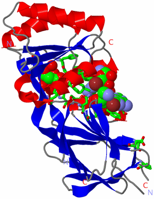 Image Asym. Unit - sites