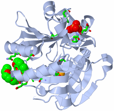 Image Biol. Unit 1 - sites