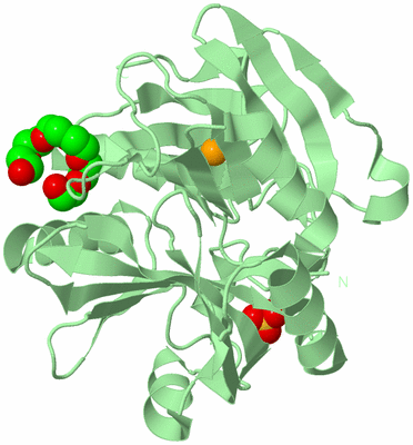 Image Biological Unit 2