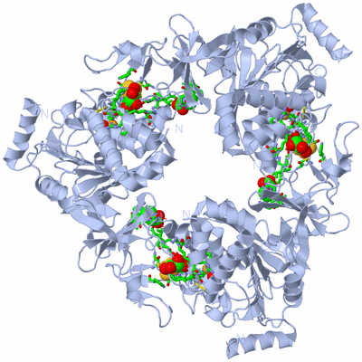 Image Biol. Unit 1 - sites