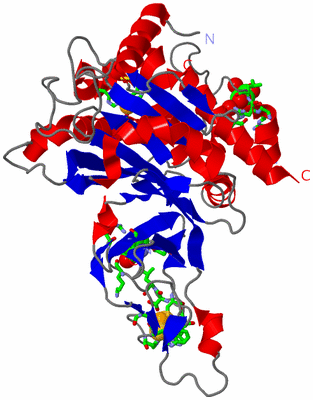 Image Asym. Unit - sites