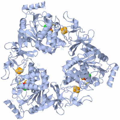 Image Biological Unit 1