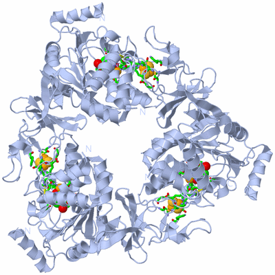 Image Biol. Unit 1 - sites