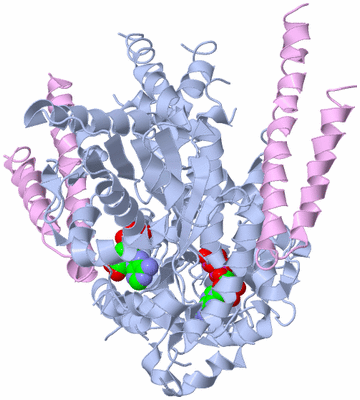 Image Biological Unit 1