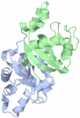 Image Biological Unit 2