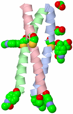 Image Asym./Biol. Unit