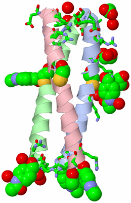 Image Asym./Biol. Unit - sites