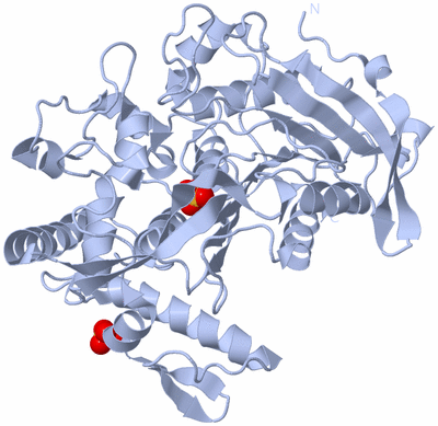 Image Biological Unit 1