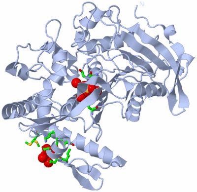 Image Biol. Unit 1 - sites