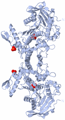 Image Biological Unit 2