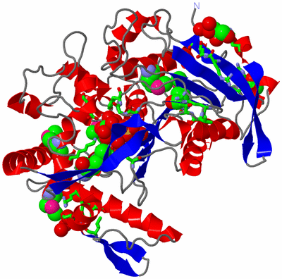 Image Asym./Biol. Unit - sites