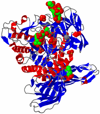 Image Asym./Biol. Unit