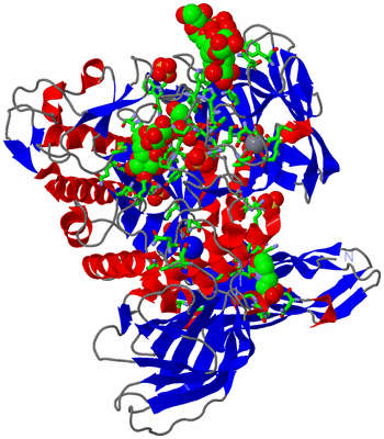 Image Asym./Biol. Unit - sites