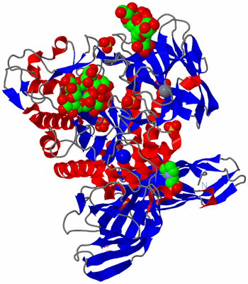 Image Asym./Biol. Unit