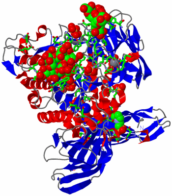 Image Asym./Biol. Unit - sites