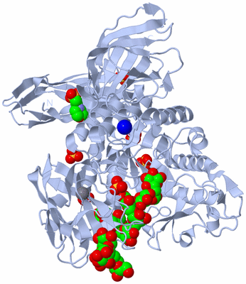 Image Biological Unit 1