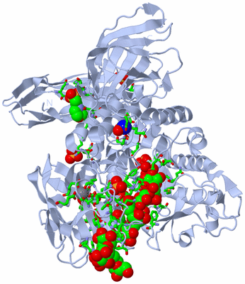 Image Biol. Unit 1 - sites