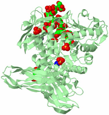 Image Biological Unit 2