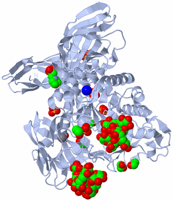 Image Biological Unit 1