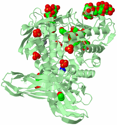 Image Biological Unit 2