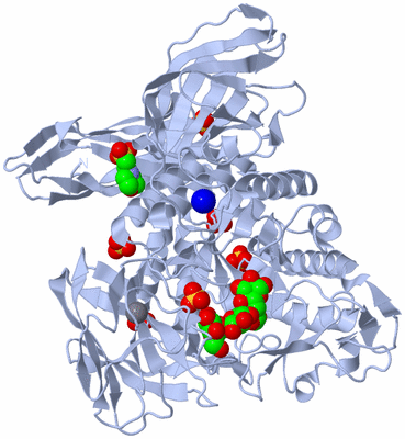 Image Biological Unit 1