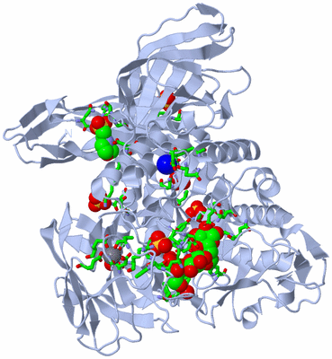 Image Biol. Unit 1 - sites