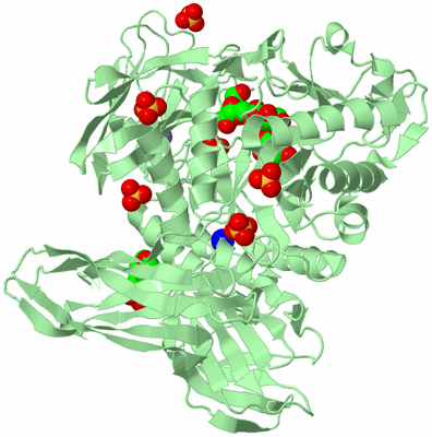 Image Biological Unit 2