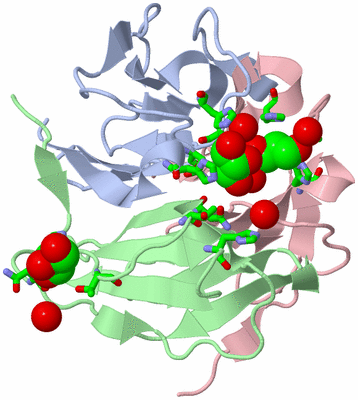 Image Asym./Biol. Unit - sites