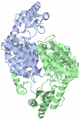 Image Biological Unit 1