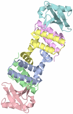 Image Asym./Biol. Unit