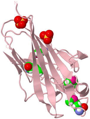 Image Biological Unit 3