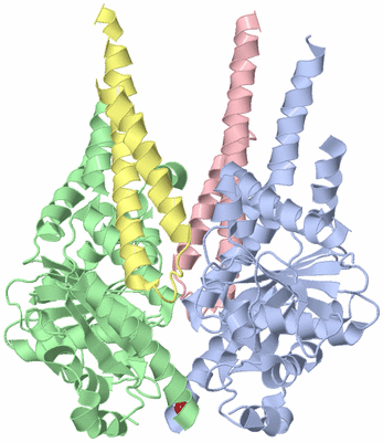 Image Asym./Biol. Unit