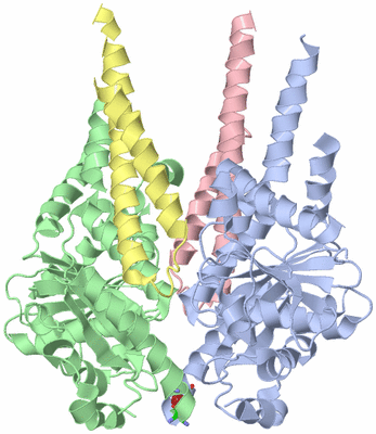 Image Asym./Biol. Unit - sites