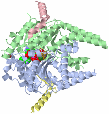 Image Asym./Biol. Unit