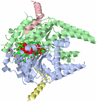 Image Asym./Biol. Unit - sites